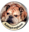 Vişla maghiară: Este un vânător înnăscut