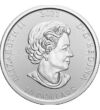10 dolari Elisabeta a II-a   argint de 9999/1000 622 g Canada 2021