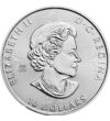 10 dolari Elisabeta a II-a  argint de 9999/1000 622 g Canada 2023