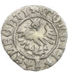1/2 groş Vultur cu scut inscripţii argint de 500/1000 09 g Polonia 1492-1501