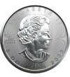 5 dolari Elisabeta a II-a   argint de 9999/1000 311 g Canada 2023