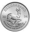 1 rand Portretul lui Paul Kruger argint de 999/1000 311 g Republica Africa de Sud 2024