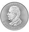 5 dolari Elisabeta a II-a   argint de 9999/1000 311 g Canada 2024