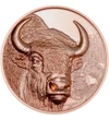 250 togrog, Zimbru, în fundal încă trei zimbri, cupru, nichel, 50 g, Mongolia, 2025