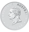 AUS/ 1 dolar Calul Brumby1uAg 2024 Australia