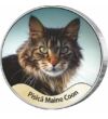 Pisica Maine Coon