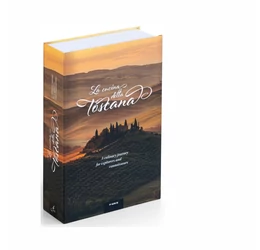 Seif metalic secret tip carte, copertă Toscana