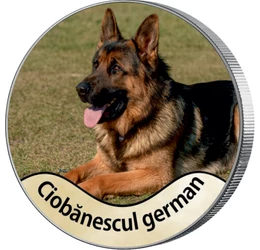 Cel mai bun prieten al omului, 7x25 cenţi, SUA, 2010-2017