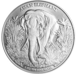 3000 riel, Elefantul asiatic, argint de 999/1000, 31,1 g, Cambodgia, 2023
