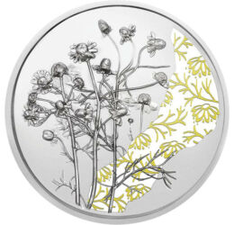 10 euro, Ilustraţie muşeţel, argint de 925/1000, 15,55 g, Austria, 2023