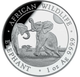 100 şilingi, Pui de elefant, greutate, argint de 999,9/1000, 31,1 g, Somalia, 2024