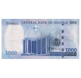 1000 naira, ,  , 0, Nigeria, 2024