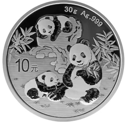 10 yuani, Doi urşi panda, , argint de 999/1000, 30 g, China, 2025