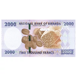 O mie de dealuri şi cafeaua, 2000 franci, Ruanda, 2024