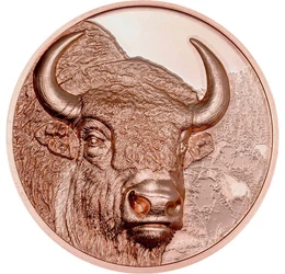 250 togrog, Zimbru, în fundal încă trei zimbri, cupru, nichel, 50 g, Mongolia, 2025
