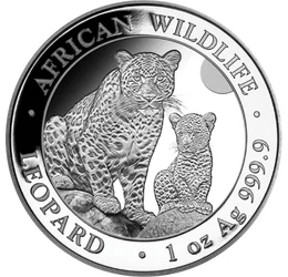 SOM/ 100 şilingi, Leopardul, 1uAg,2024, Somalia