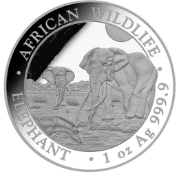 100 şilingi, Adăpătoare de savană cu animale, fineţe, argint de 999,9/1000, 31,1 g, Somalia, 2026