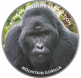 // 2000 şilingi, pictat, placat cu argint, Uganda, 2006 // - Pe această monedă pictată apare gorila de munte, animalul din Africa ameninţat cu dispariţie. Inscripţia monedei „Protecţia faunei africane” ne atrage atenţia asupra acestei specii pe cale de di