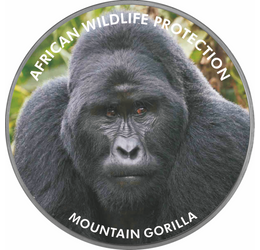 // 2000 şilingi, pictat, placat cu argint, Uganda, 2006 // - Pe această monedă pictată apare gorila de munte, animalul din Africa ameninţat cu dispariţie. Inscripţia monedei „Protecţia faunei africane” ne atrage atenţia asupra acestei specii pe cale de di