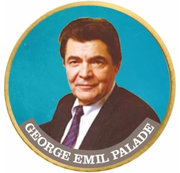 George Emil Palade, 50 cenţi, motiv colorat