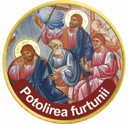 potolirea_furtunii_moneda_pictata_50_centi_UE