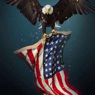 Preşedinţii SUA pe monedele de 1 dolar „Mandale” africane pe argint pur - totul despre colecţionare, partea a 10-a