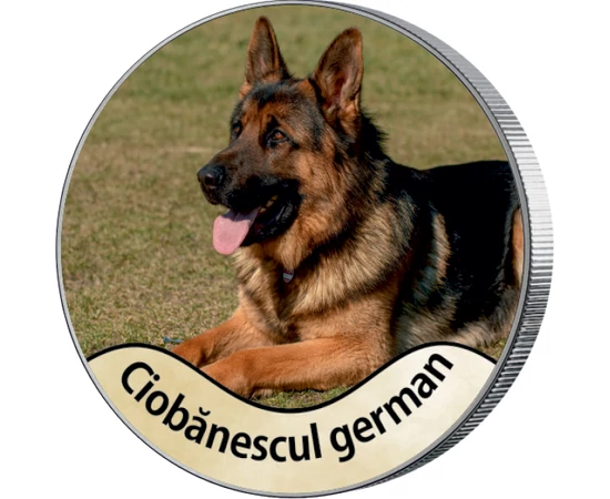 USA/ 25 cenţi, Teckel