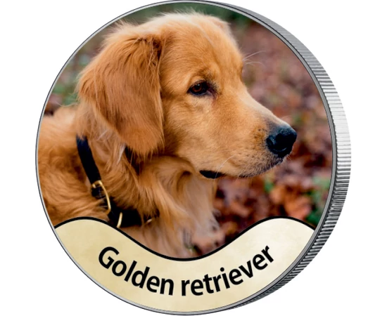 mereu în alertă şi în centrul atenţiei.