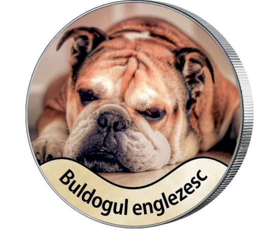 Vişla maghiară: Este un vânător înnăscut