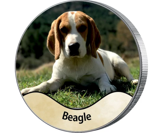 prietenos şi ascultător