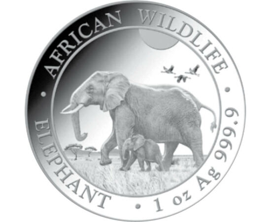 100 şilingi, Elefantul cu puiul, greutate, argint de 999,9/1000, 31,1 g, Somalia, 2022