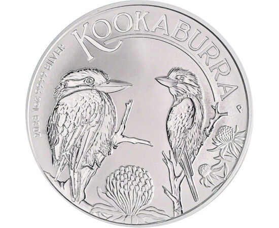 1 dolar, Kookabura, , greutate, argint de 999,9/1000, 31,1 g, Australia, 2023