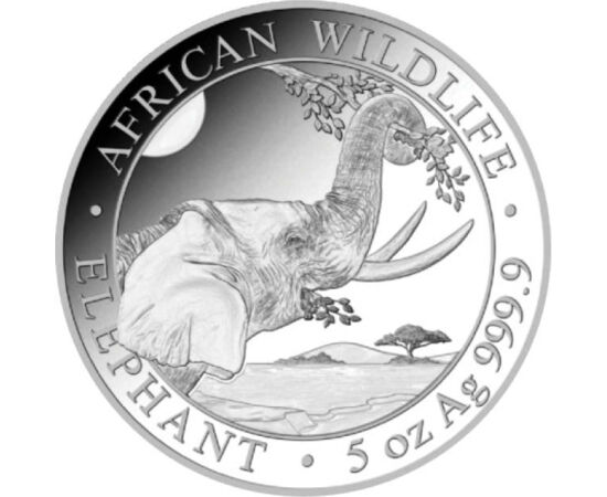 500 şilingi, Elefantul, greutate, argint de 999,9/1000, 155,5 g, Somalia, 2023