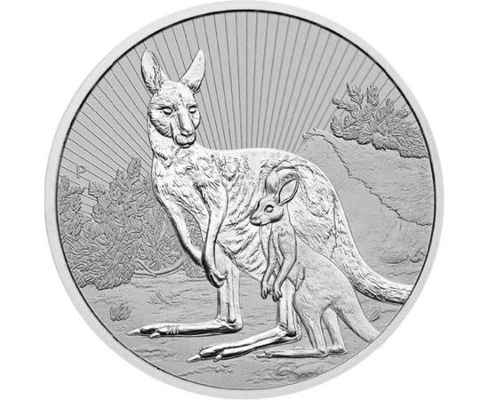 10 dolari, Ilustrare cangur, argint de 999/1000, 311 g, Australia, 2023