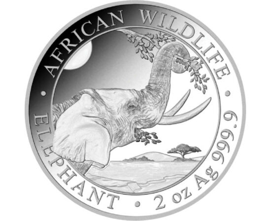 200 şilingi, Elefantul, greutate, argint de 999,9/1000, 62,2 g, Somalia, 2023