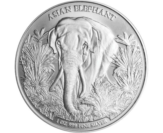 3000 riel, Elefantul asiatic, argint de 999/1000, 31,1 g, Cambodgia, 2023