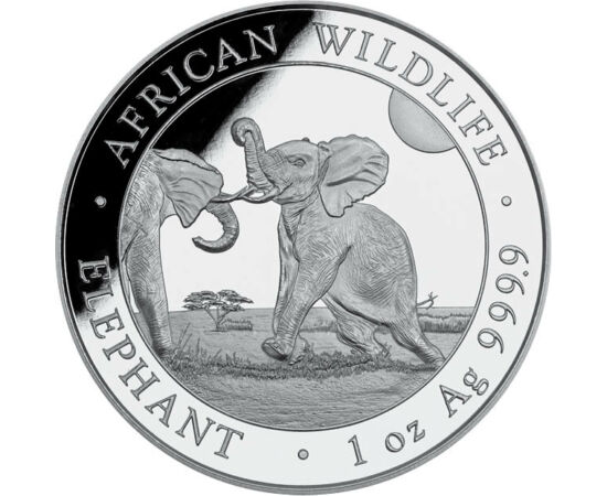 100 şilingi, Pui de elefant, greutate, argint de 999,9/1000, 31,1 g, Somalia, 2024