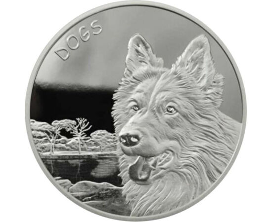 50 cenţi, Ilustraţie câine, argint de 999/1000, 31,1 g, Insulele Fiji, 2023