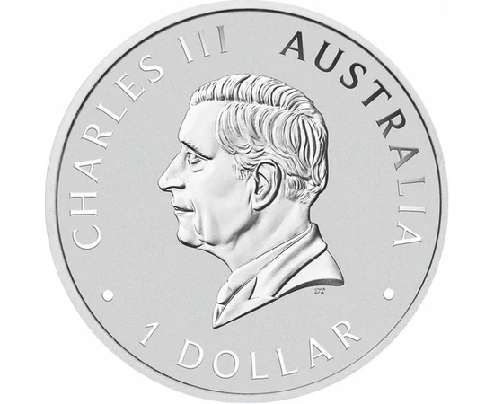 1 dolar Charles al III-lea  argint de 9999/1000 311 g Australia 2024
