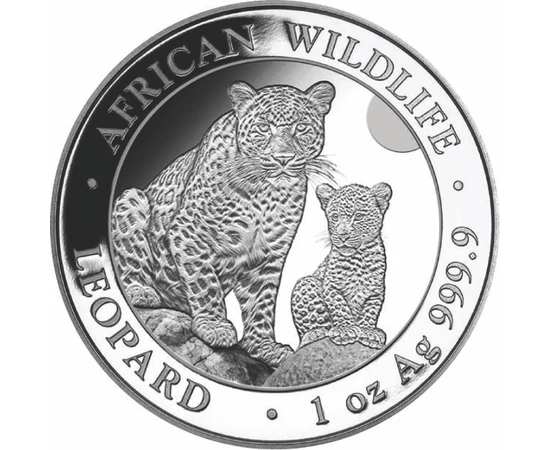 100 şilingi, Leopardul, greutate, argint de 999,9/1000, 31,1 g, Somalia, 2024