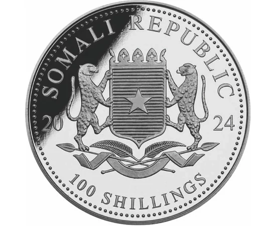 100 şilingi Stemă   argint de 9999/1000 311 g Somalia 2024