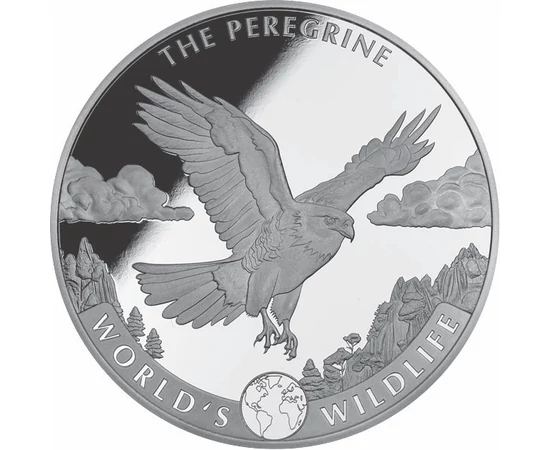 20 franci, Şoimul călător, argint de 999,9/1000, 31,1 g, Congo, 2024