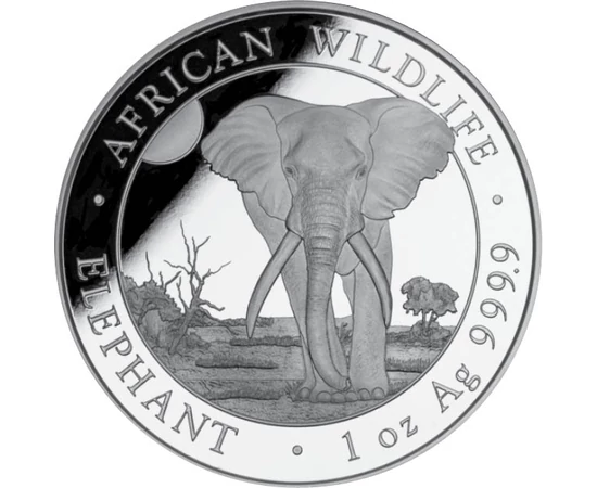 100 şilingi, Elefantul, greutate, argint de 999,9/1000, 31,1 g, Somalia, 2025