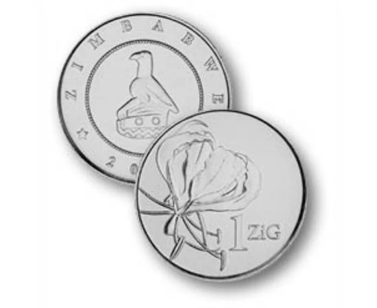 1 2 5 ZiG    0 Zimbabwe 2024