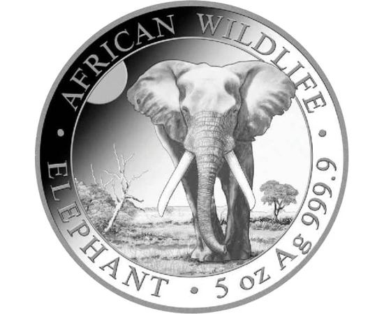 500 şilingi, Elefantul, greutate, argint de 999,9/1000, 155,5 g, Somalia, 2025