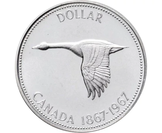  1 dolar, 