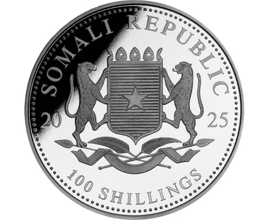 100 şilingi Stemă   argint de 9999/1000 311 g Somalia 2025