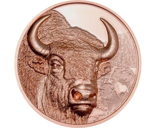250 togrog, Zimbru, în fundal încă trei zimbri, cupru, nichel, 50 g, Mongolia, 2025