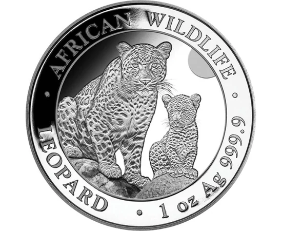 SOM/ 100 şilingi, Leopardul, 1uAg,2024, Somalia