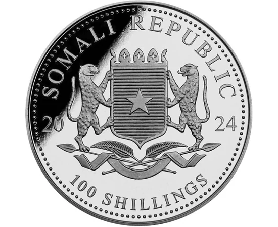SOM/ 100 şilingi Leopardul 1uAg2024 Somalia
